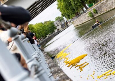 Adopte un canard.be, Édition 2022