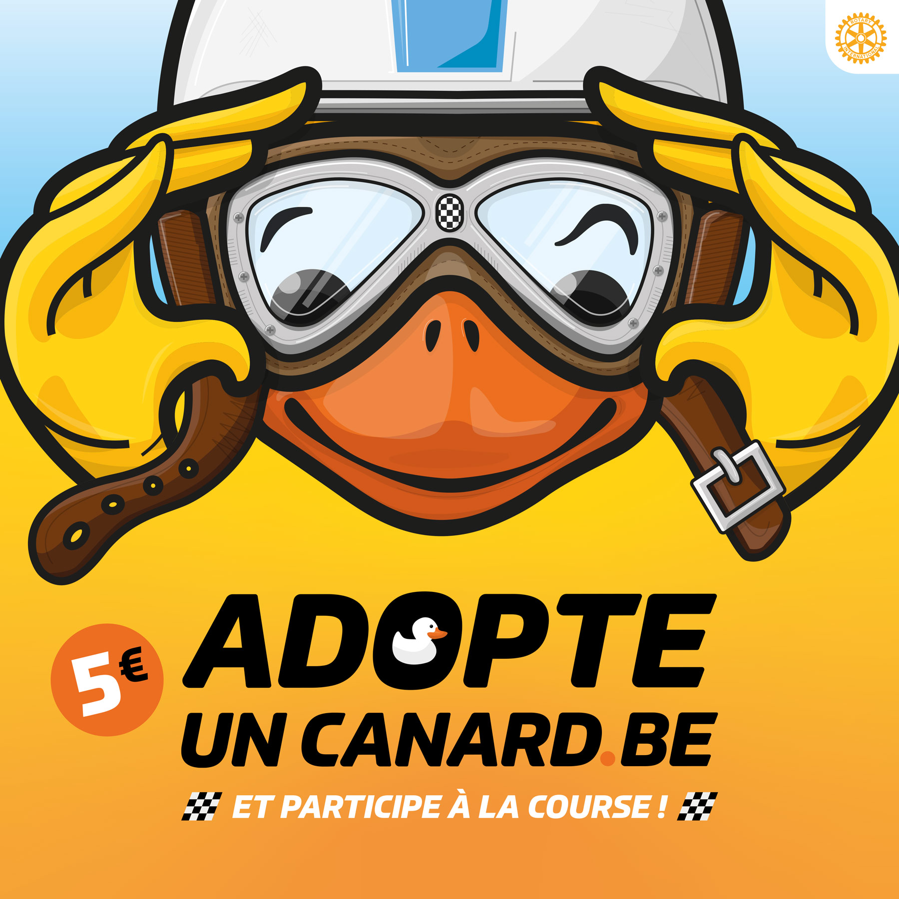 Adopte tes canards ici ! Adopte tes canards ici !